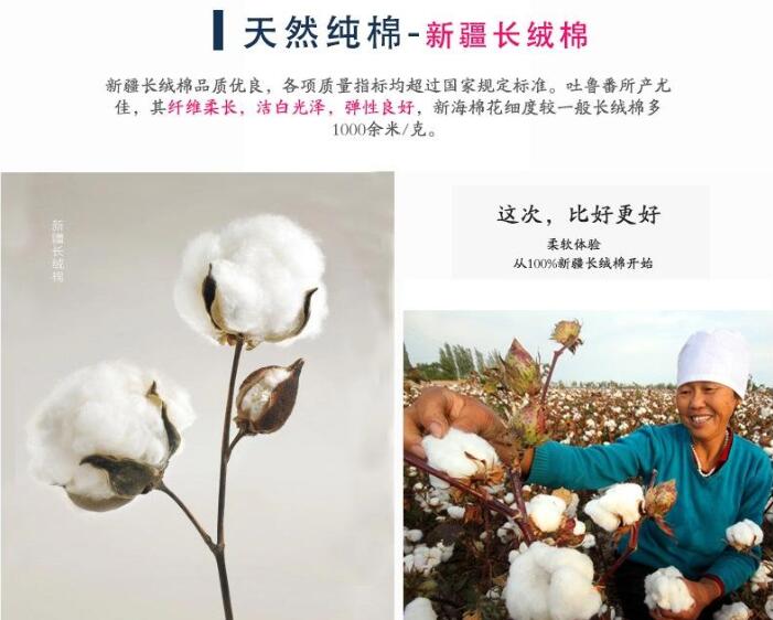 新疆長(cháng)絨棉