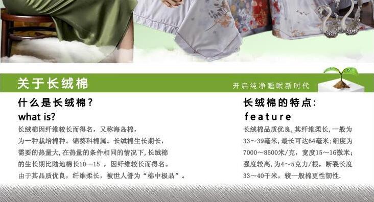 新疆長(cháng)絨棉